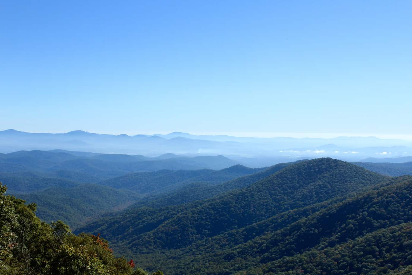 view of the blue ridge mountains with green trees and blue hues from mt. pisgah hike near asheville, north carolina