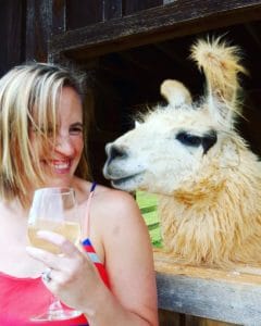 divine llama vineyards is a north carolina winery near charlotte nc