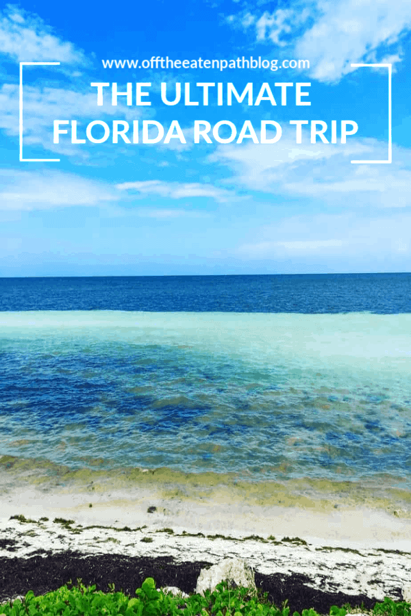 ultimate florida road trip pin