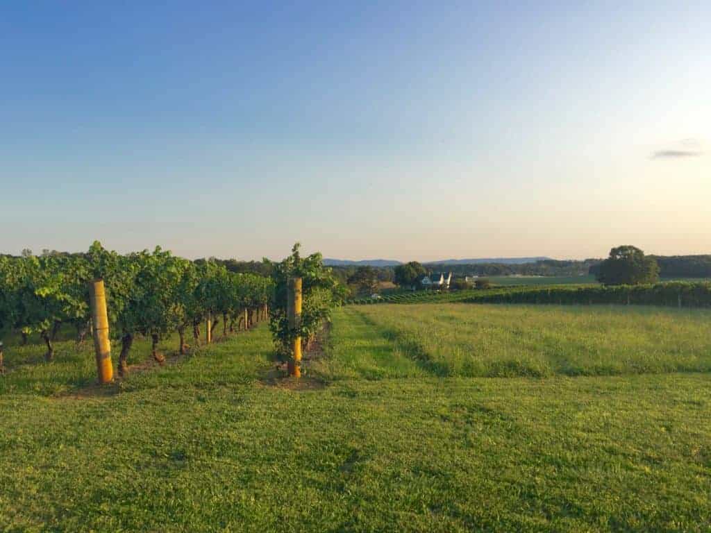 wineries near elkin nc