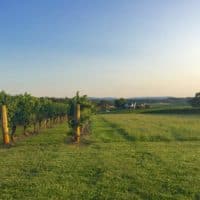 wineries near elkin nc