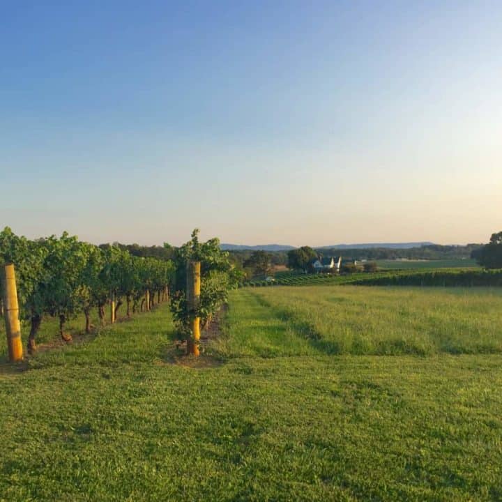 wineries near elkin nc