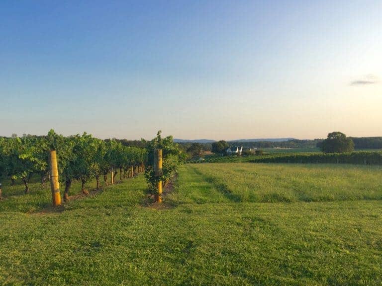 wineries near elkin nc