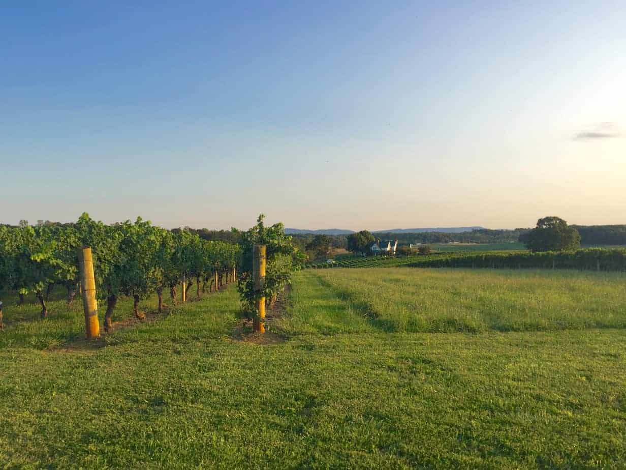 wineries near elkin nc