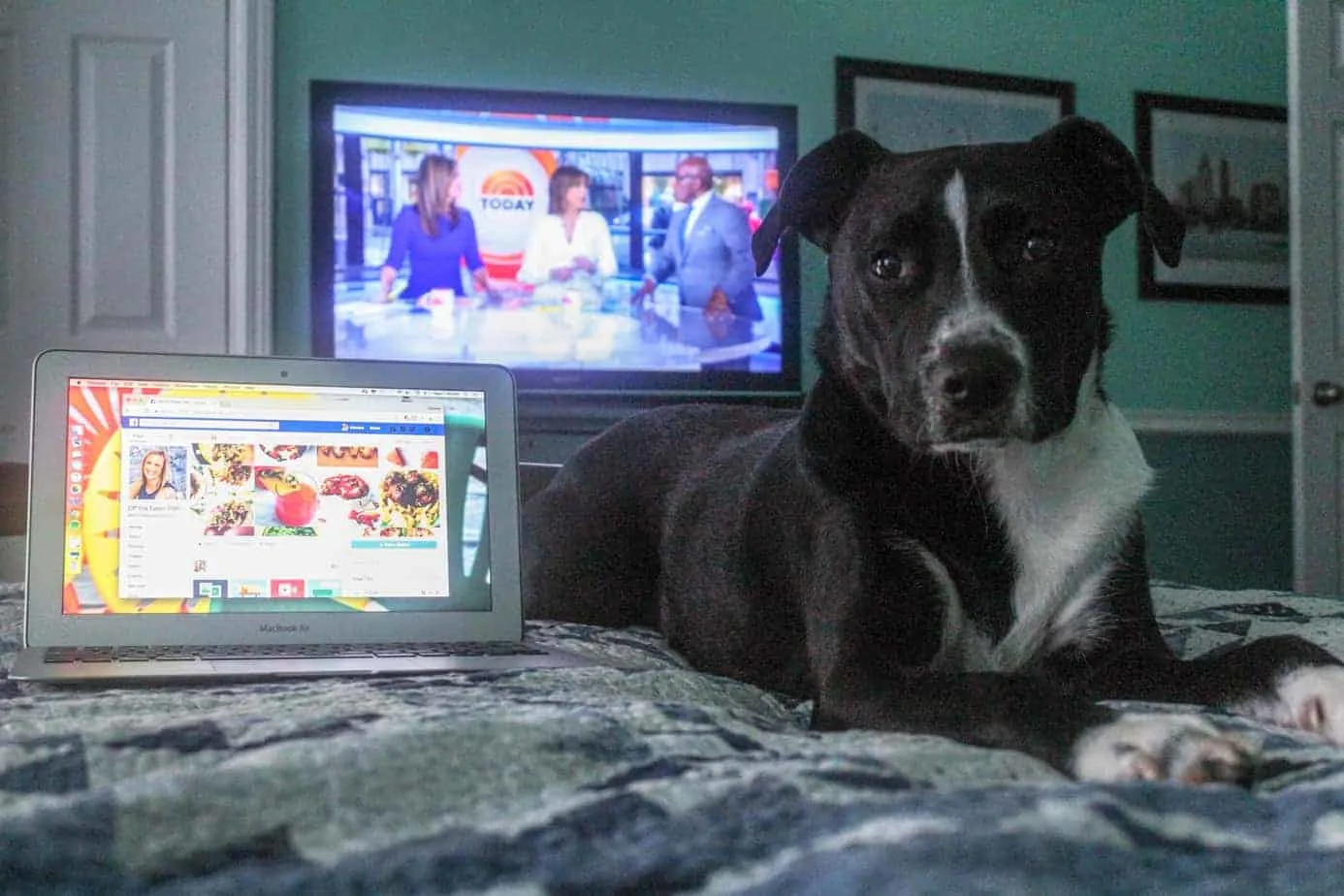 social media scheduling and morning coffee before working as a public defender