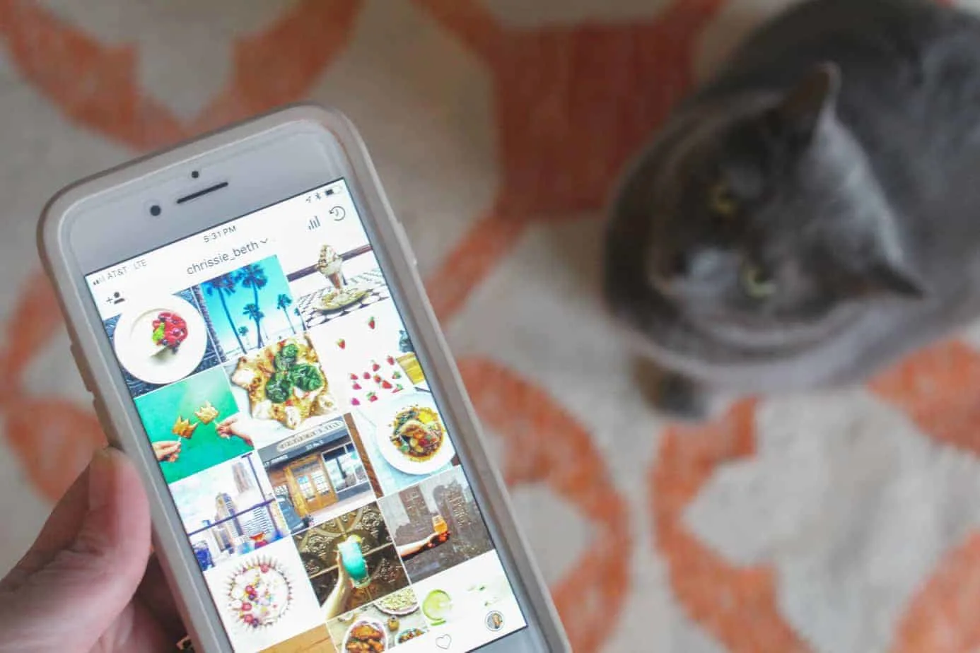 checking instagram day in the life of a public defender 
