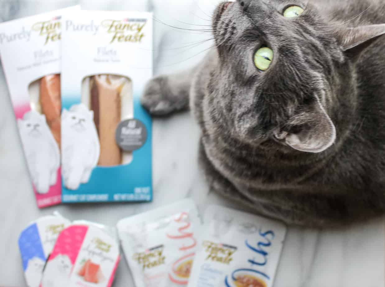 celebrate your cat's adoption anniversary purina fancy feast treats