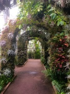 daniel stowe botanical garden