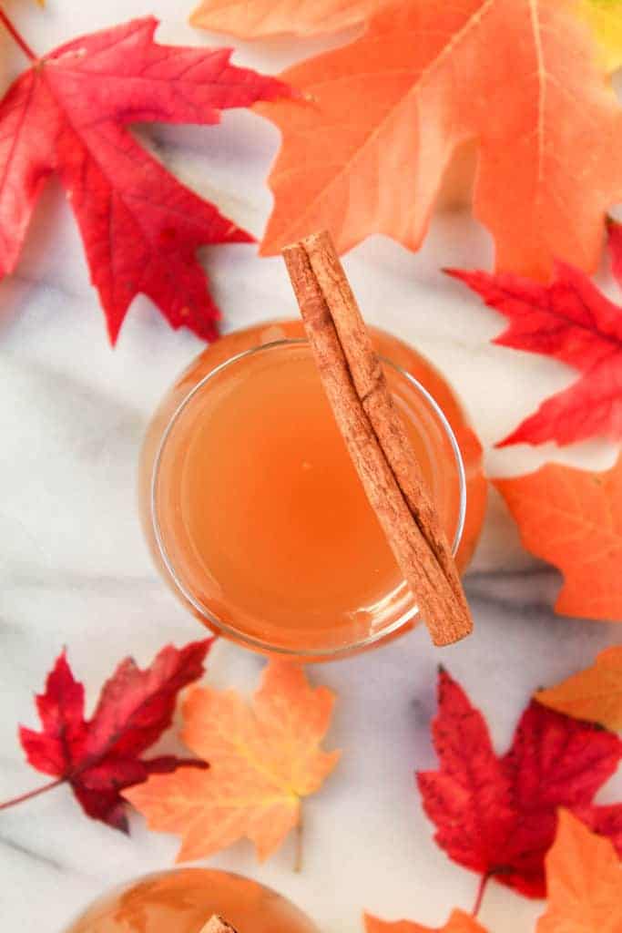 glass of apple cider topped with a cinnamon stick and surrounded by fall leaves that are red and orange