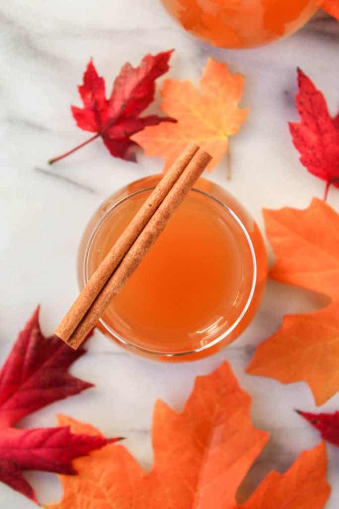 whiskey apple cider cocktail in a glass with a cinnamon stick laid on top surrounded by red and orange leaves 