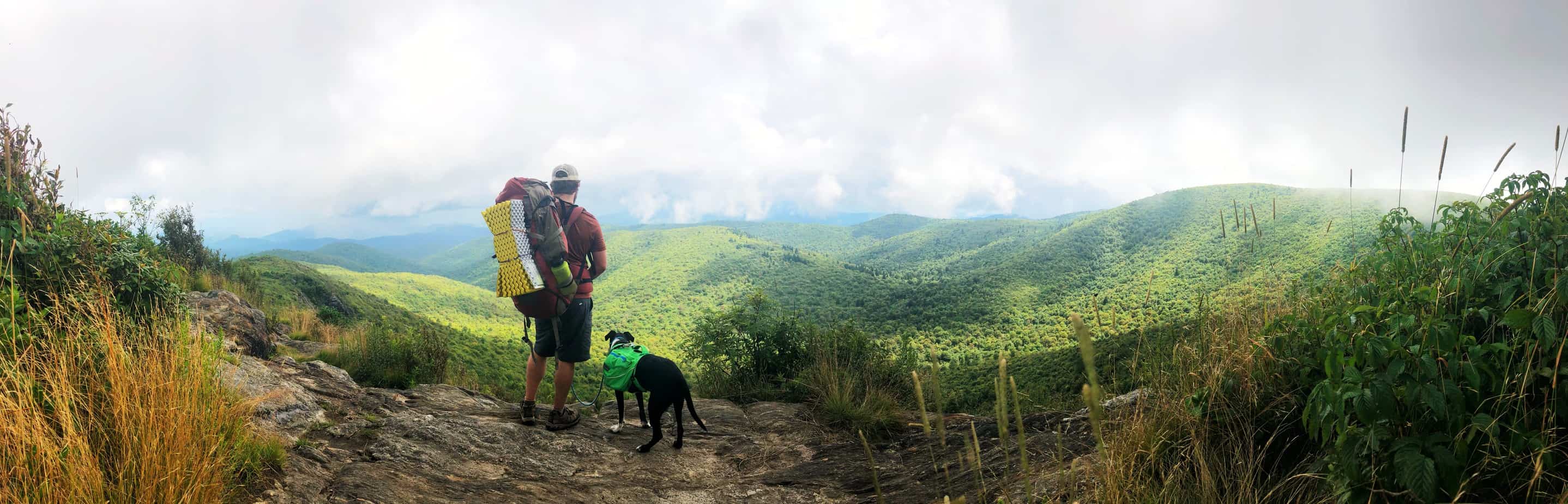 where to stay in asheville, nc: cabins in asheville, nc