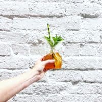 charlotte food bucket list optimist hall