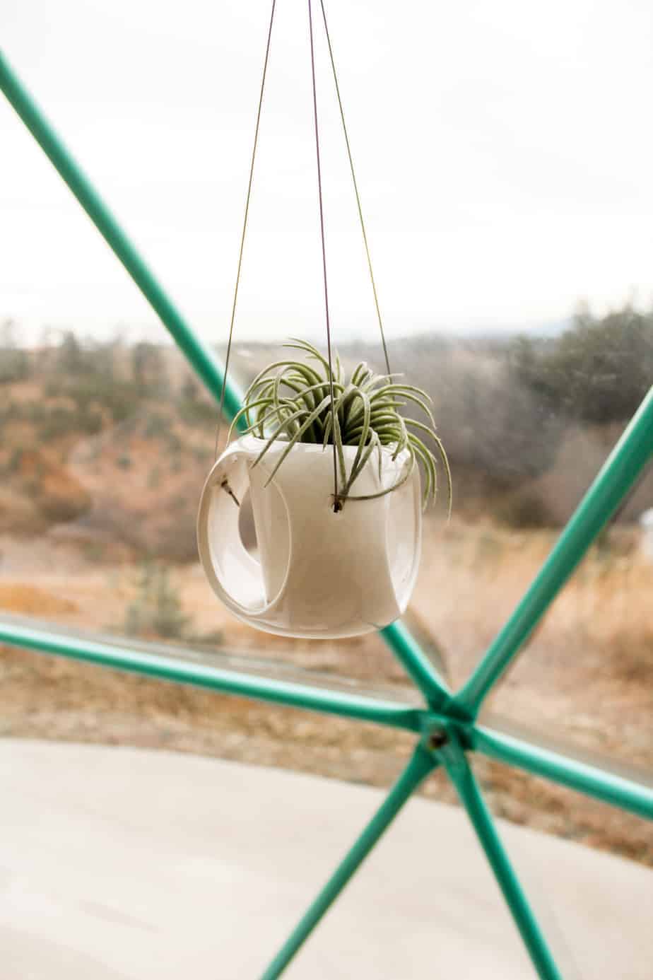 hanging plants at asheville glamping