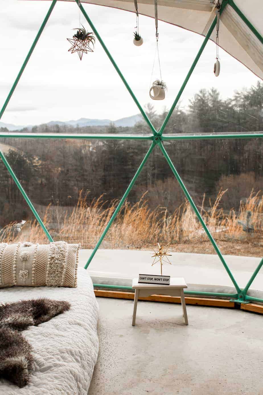 hanging plants inside asheville glamping dome 2