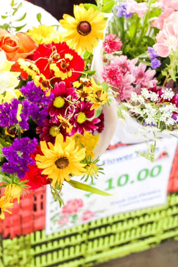 flowers for sale at the charlotte regional farmers market