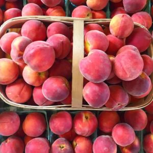 basket of south carolina peaches