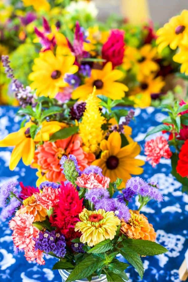 charlotte farmers market guide