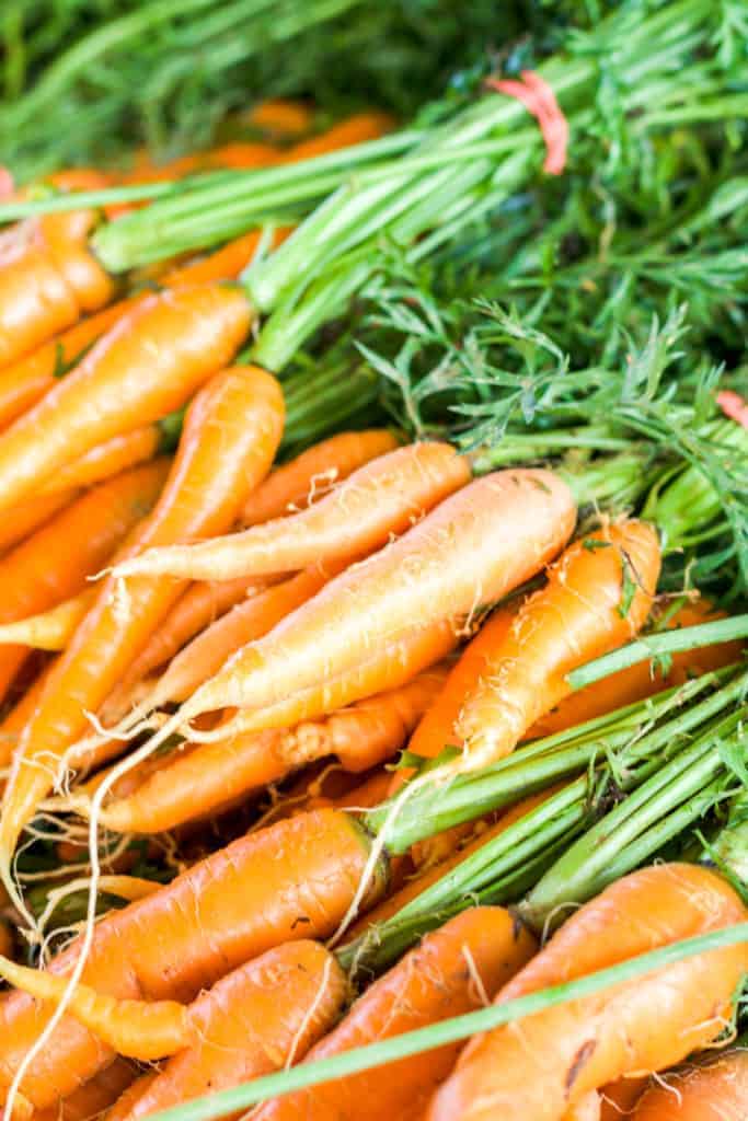 local carrots at the charlotte farmers market