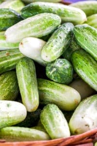 local cucumbers for sale at the charlotte farmers market