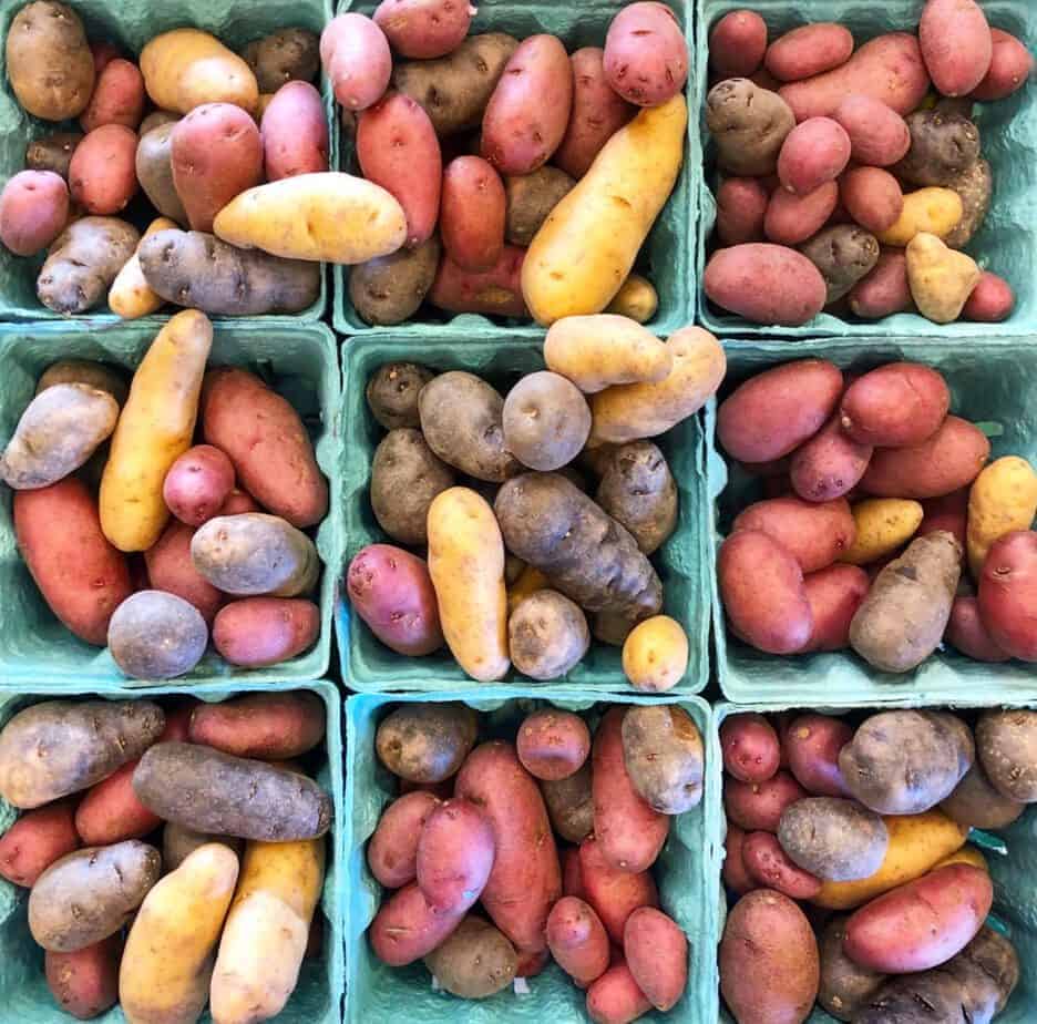 mini colorful potatoes at the charlotte regional farmers market