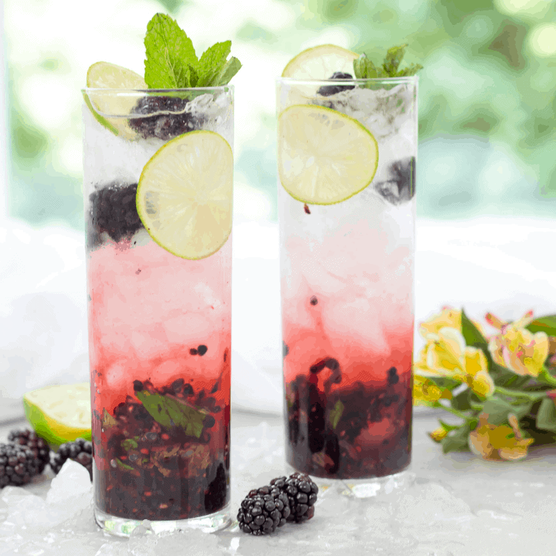 Blackberry-Mojito-main.png