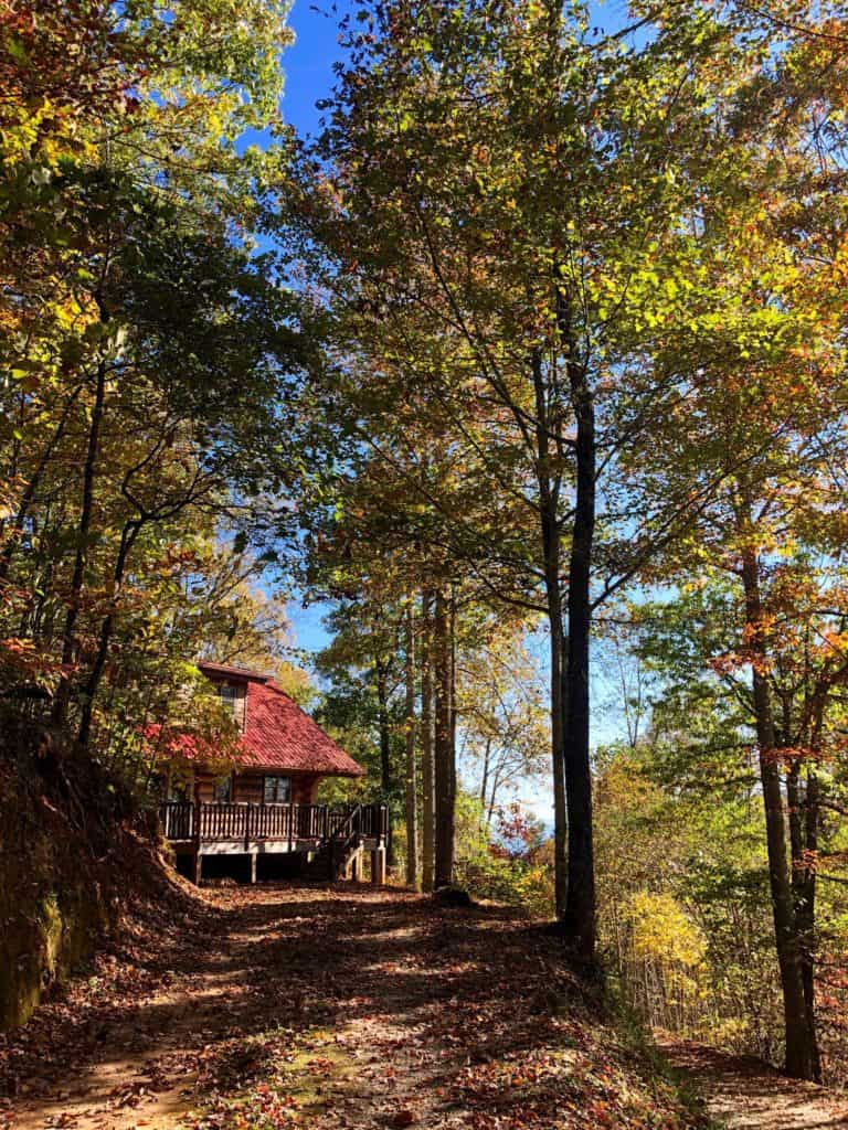 wood log cabin with red roof in the woods