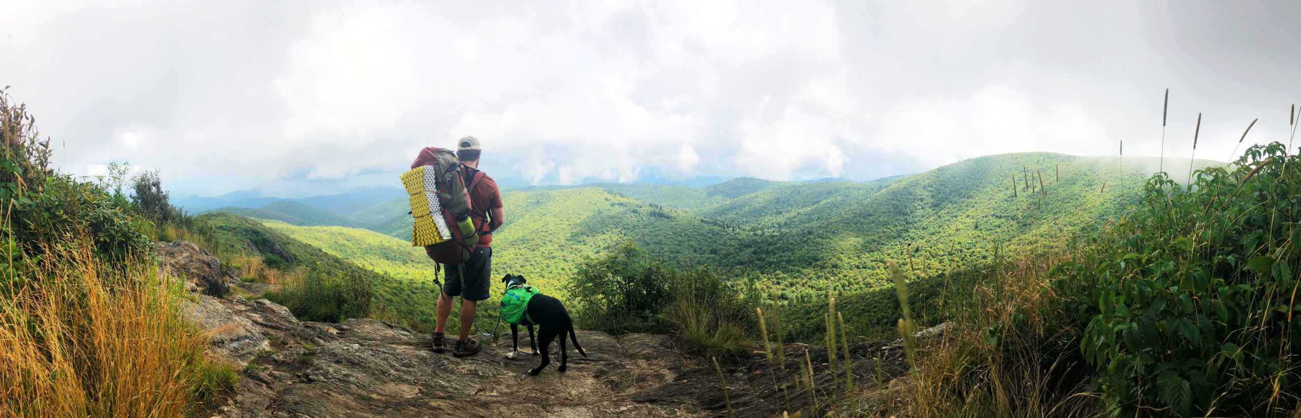 man and dog wearing backpacks on a hike and looking at a long range view on tennent mountain in north carolina