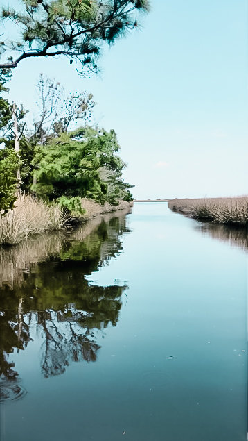 crystal clear blue water and coastal marsh near beaufort nc