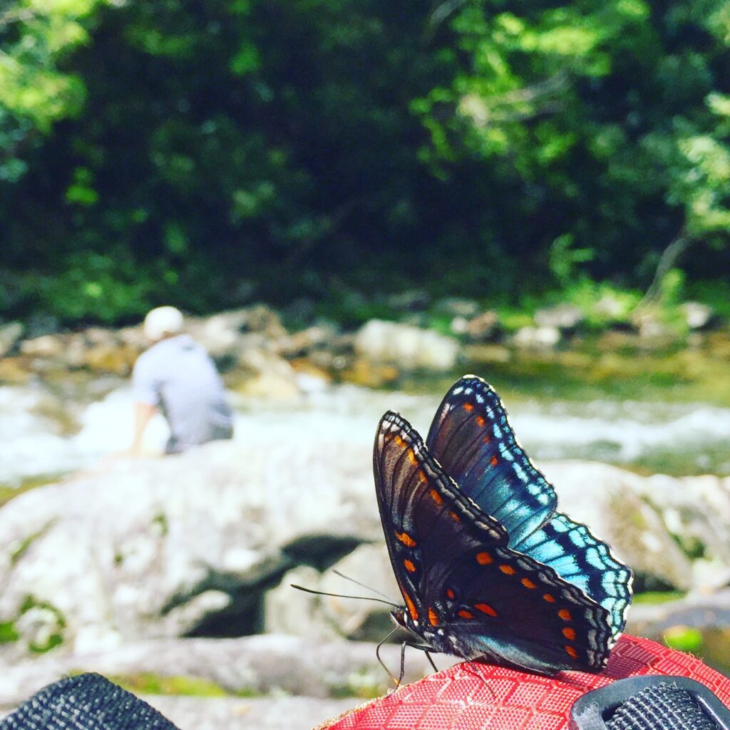 backcountry camping in the pisgah national forest