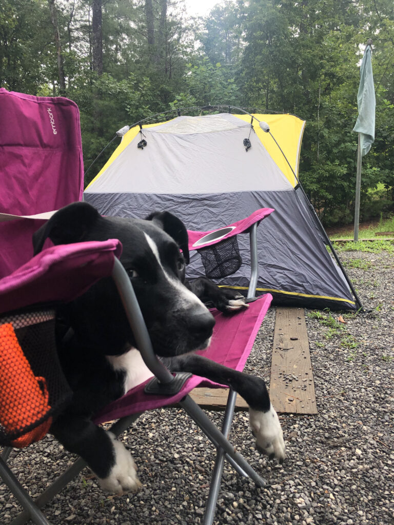 tent camping in nc at morrow mountain state park