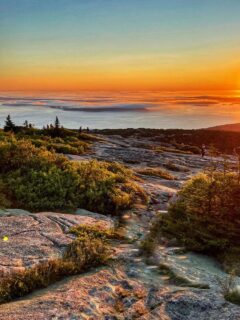 sunrise from on top of cadillac mountain