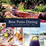 A collage featuring a lush patio with tables and chairs, a spread of seafood dishes and fries, and a purple cocktail garnished with lemon, with text: Experience Charlotte's best patios for dining, right here in Charlotte, NC.