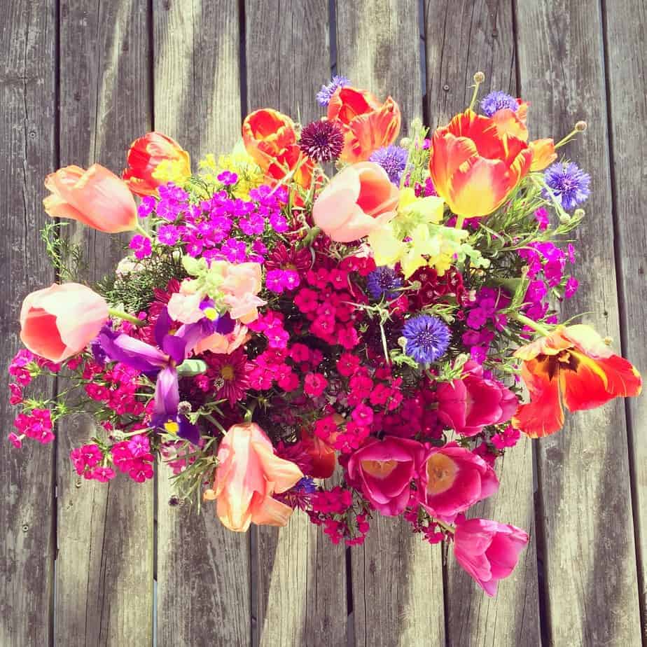 A vibrant bouquet of mixed flowers, including pink, red, purple, and orange blooms, is arranged on a rustic wooden surface. The flowers are fresh and colorful, creating a lively, cheerful display.