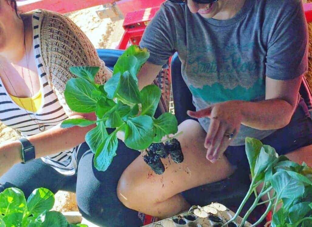 Two people sit together; one, smiling, holds a leafy green seedling with soil on its roots, ready to plant. Trays of seedlings are on their laps. Sunlight shines brightly in the background.