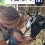 A woman and a young child feed a black and white goat through a metal fence in a barn, showcasing one of many fun toddler activities Charlotte NC offers—featured on offtheeatenpathblog.com.