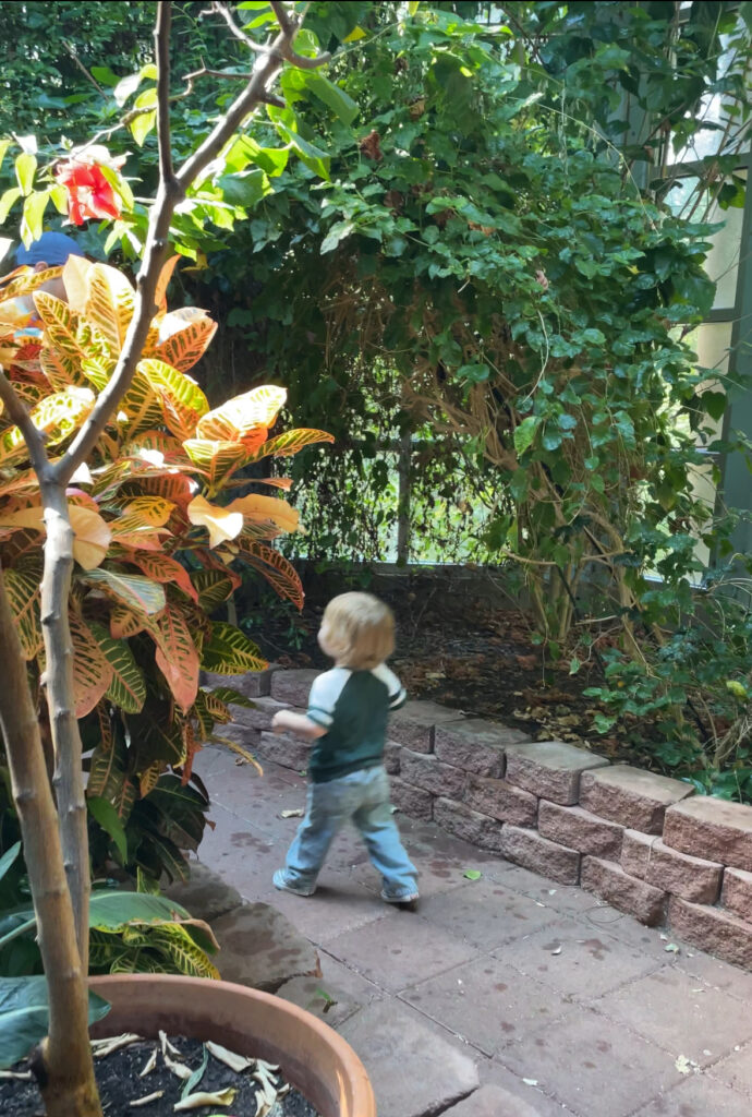 A small child with blond hair, wearing a green shirt and jeans, walks on a brick path in a lush garden surrounded by vibrant plants and greenery.