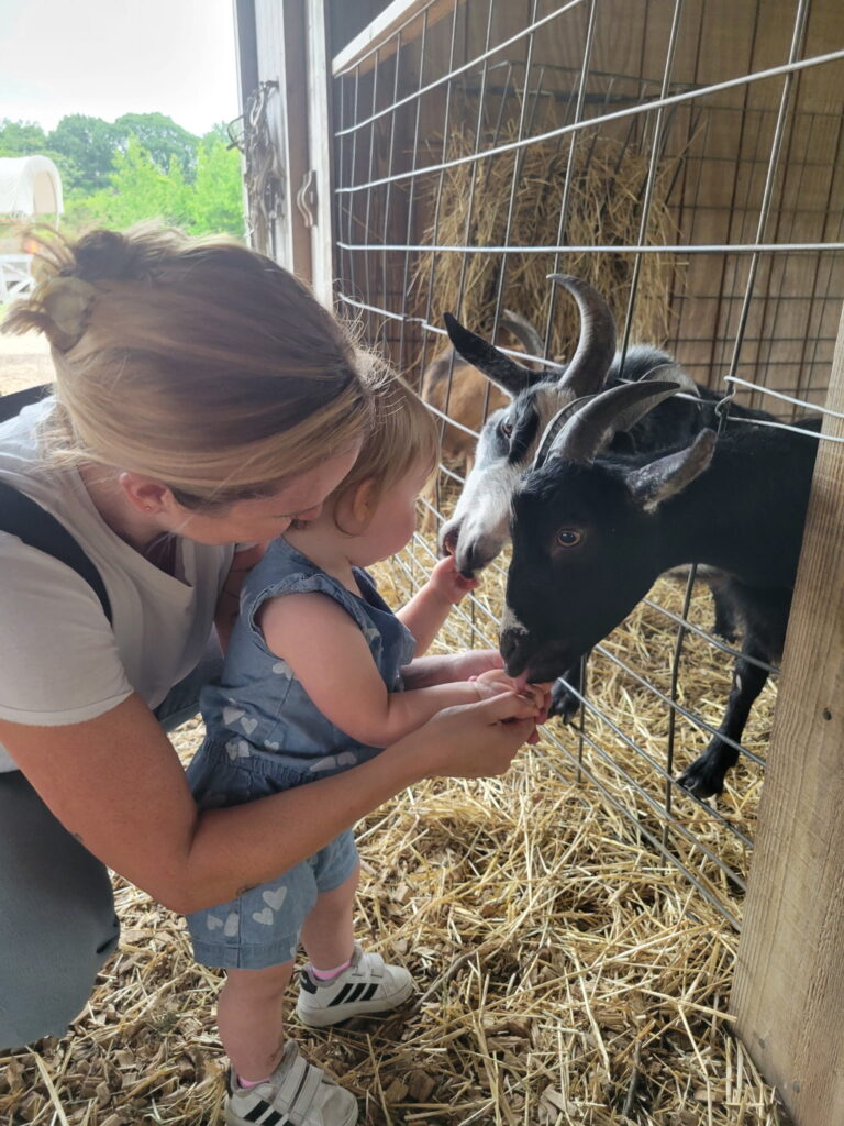 A woman helps a young child feed two goats through a wire fence at a barn, with straw on the ground and greenery visible outside.