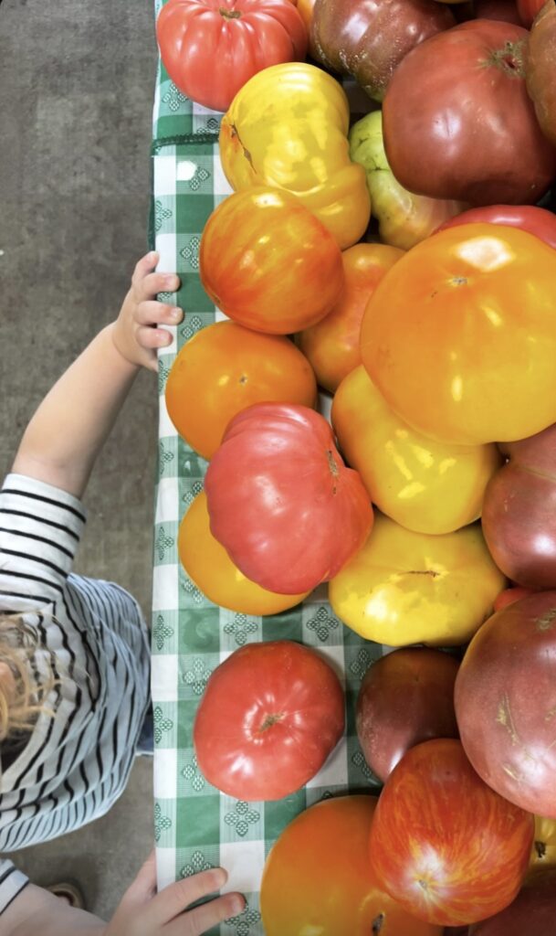 A child in a striped shirt stands at a table filled with large, colorful heirloom tomatoes on a green and white checkered tablecloth at the Charlotte Regional Farmers Market.