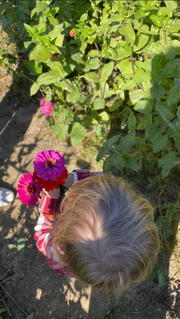 A young child with light hair, seen from above, holds pink flowers while standing in a sunlit garden surrounded by green leaves and plants.
