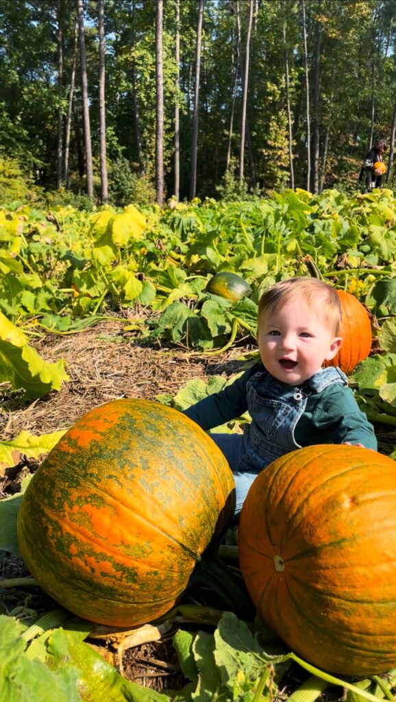 A smiling baby in denim overalls sits among large orange pumpkins and green vines in a pumpkin patch, with tall trees in the background on a sunny day.
