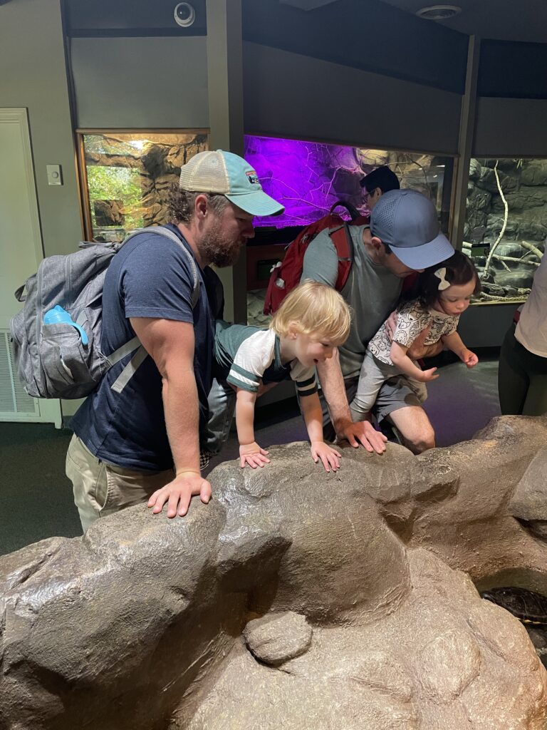 Two adults and two young children lean over a large artificial rock in an indoor exhibit, looking at something below; the adults have backpacks, and the children appear interested and curious.