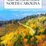A scenic mountain road winds through a forest of vibrant fall foliage in North Carolina, showcasing the best time to see fall colors in North Carolina. Text reads, The best time to see fall colors in North Carolina.