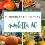Collage of young children holding and playing with pumpkins at pumpkin patches near Charlotte, NC, with a sign that reads “Pumpkin Patches Near Charlotte, NC.” At the bottom is the Off the Eaten Path logo—perfect for anyone searching for the best pumpkin patch Charlotte NC has to offer.
