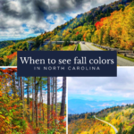 Collage of North Carolina fall scenery: colorful autumn trees line mountain roads and forest paths under dramatic skies. Text reads, Best time to see fall colors in North Carolina.