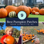 Collage showing pumpkins on grass with a city skyline, a child holding a pumpkin, and children picking pumpkins from wooden pallets. Text: 9 Best Pumpkin Patches Near Charlotte, NC. Discover the top-rated pumpkin patch Charlotte NC families love, or explore charming pumpkin patches near Charlotte NC for unforgettable fall memories.