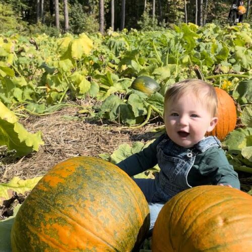 A smiling baby sits among large green and orange pumpkins in a pumpkin patch near Charlotte, NC, surrounded by leafy vines and a sunlit forest in the background.