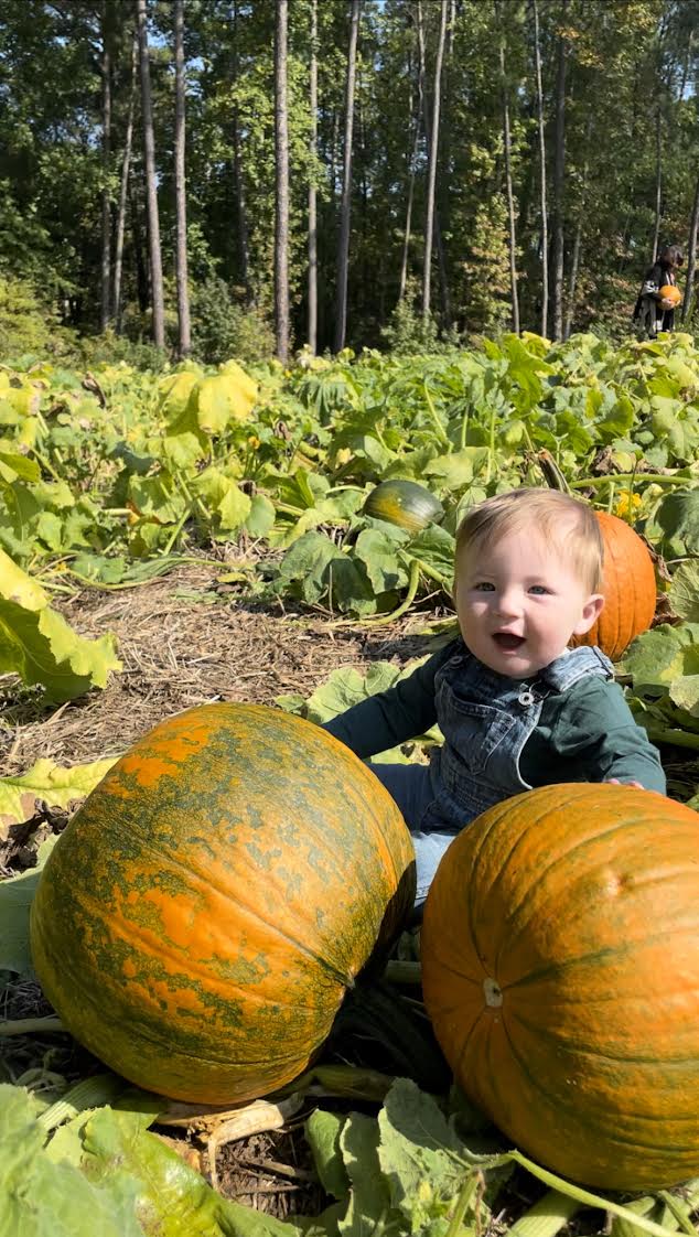 A smiling baby sits among large orange pumpkins and green vines in a pumpkin patch with tall trees in the background on a sunny day.