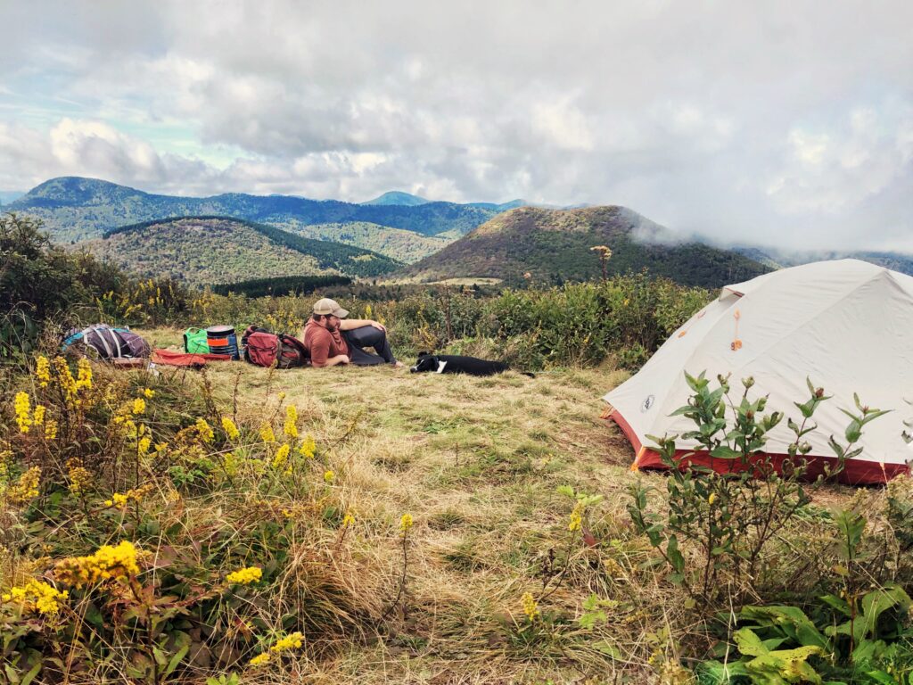 A person relaxes on a grassy hill next to a tent and camping gear, surrounded by wildflowers and green shrubs, with rolling mountains and a cloudy sky in the background. A black and white dog lies beside them.