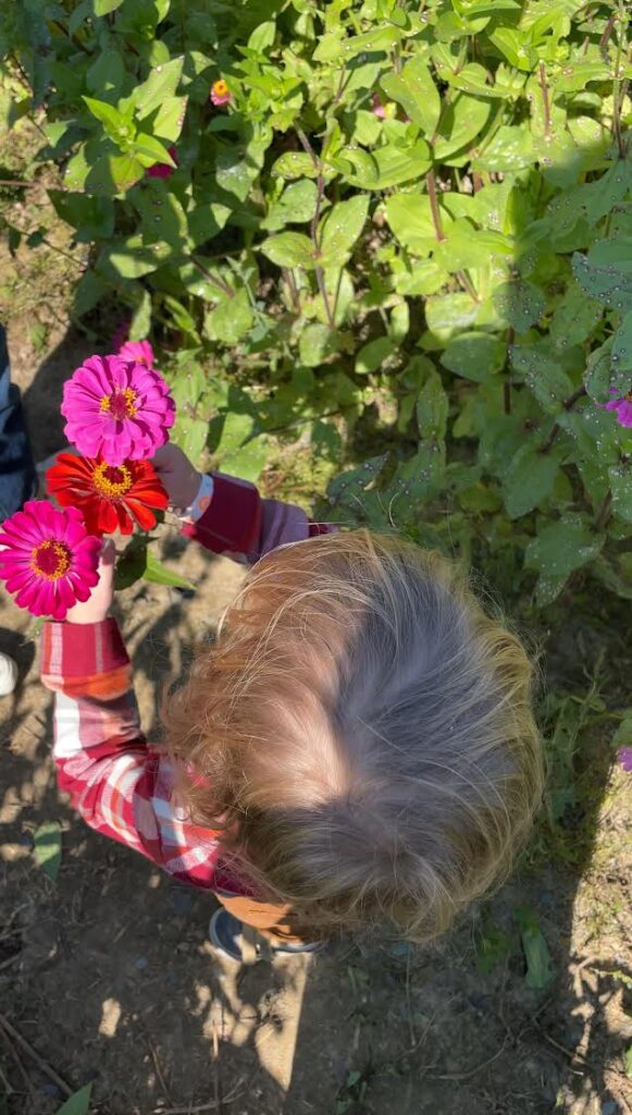 A young child with light brown hair, wearing a red plaid shirt, stands outdoors holding pink and red flowers, surrounded by green foliage and sunlight.