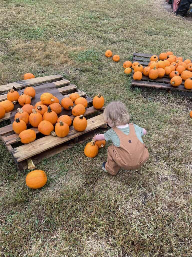 A small child wearing brown overalls and a green shirt crouches on grass, reaching for a pumpkin among many small pumpkins arranged on wooden pallets outdoors.